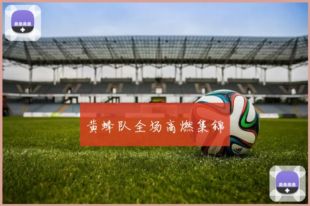 黄蜂队全场高燃集锦