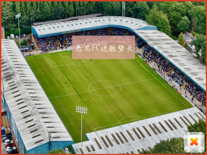 悉尼FC连胜势头