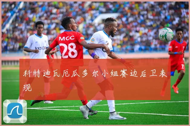 科特迪瓦厄瓜多尔小组赛边后卫表现