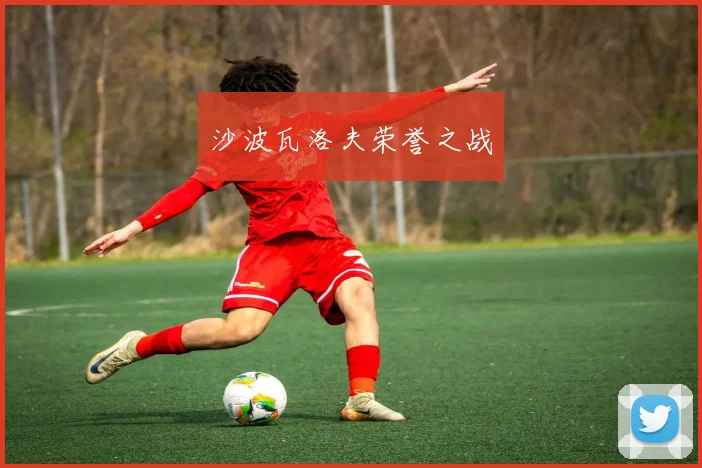 沙波瓦洛夫荣誉之战
