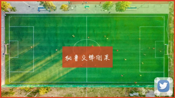 秘鲁交锋刚果