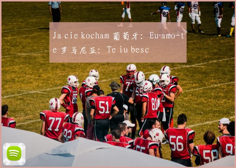 Ja cie kocham 葡萄牙：Eu amo-te 罗马尼亚：Te iu besc