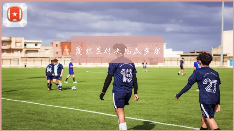爱尔兰对决厄瓜多尔