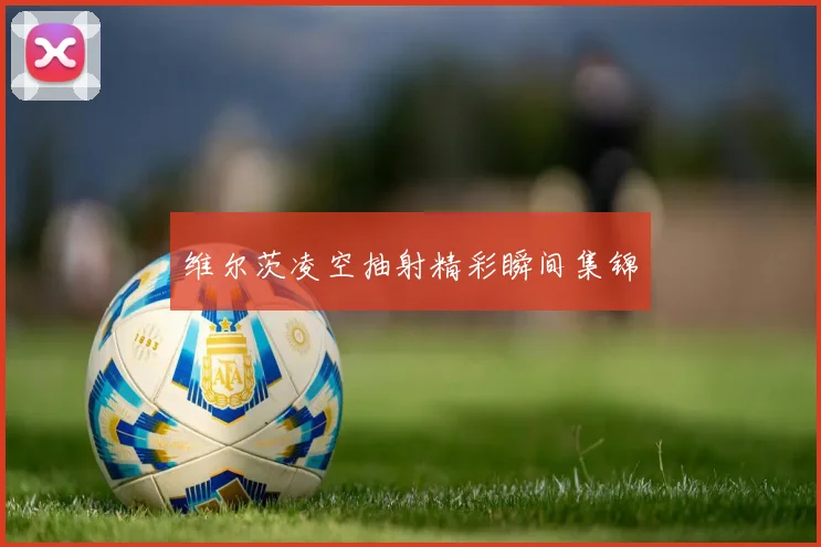 维尔茨凌空抽射精彩瞬间集锦