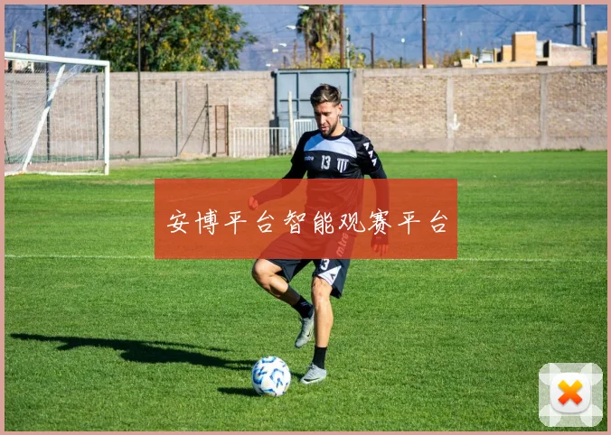 安博平台智能观赛平台