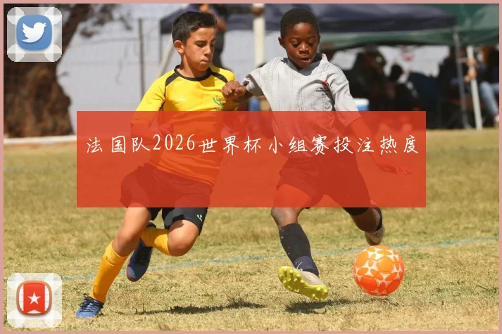 法国队2026世界杯小组赛投注热度