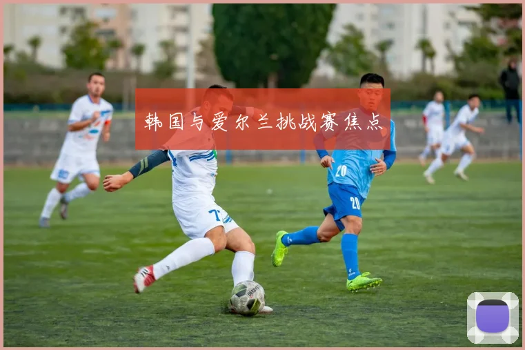 韩国与爱尔兰挑战赛焦点