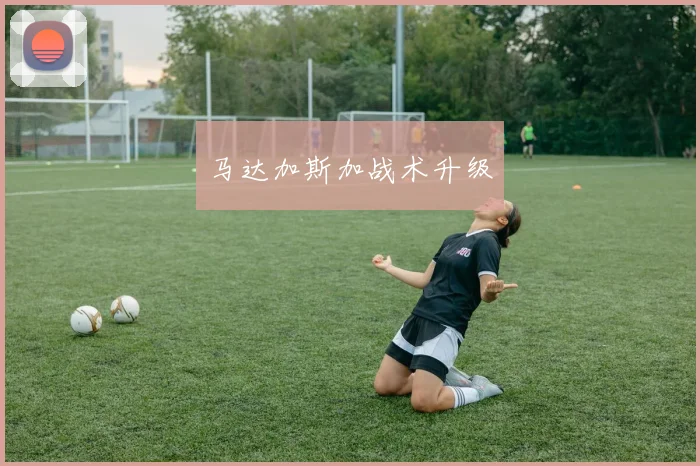 马达加斯加战术升级