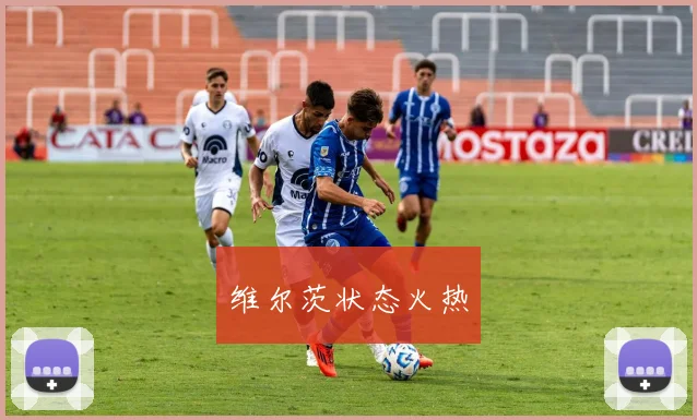 维尔茨状态火热