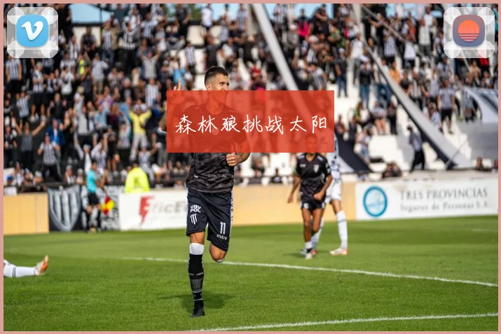 森林狼挑战太阳