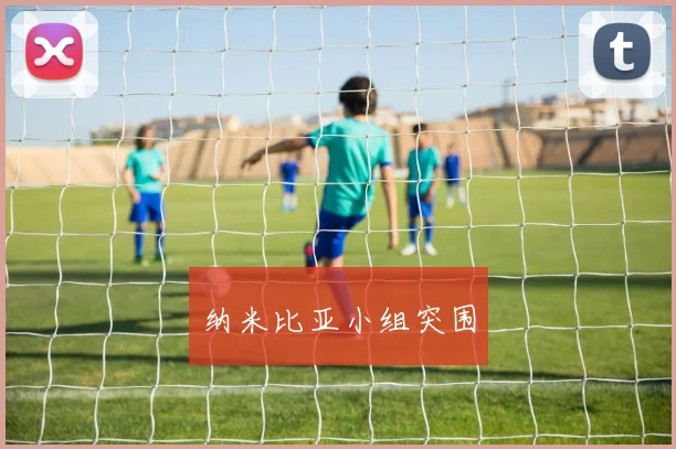 纳米比亚小组突围
