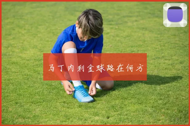 马丁内利金球路在何方