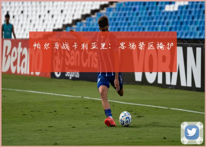 帕尔马战卡利亚里:客场禁区掩护