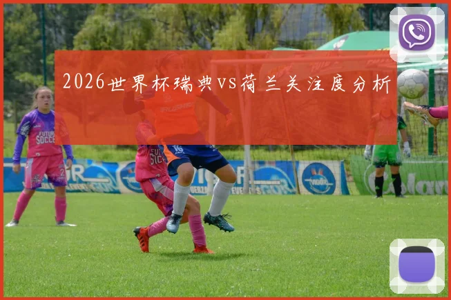 2026世界杯瑞典vs荷兰关注度分析